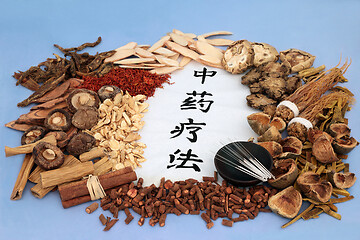 Image showing Traditional Chinese Herbal Therapy