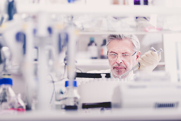 Image showing Senior male life scientist researching in the laboratory.