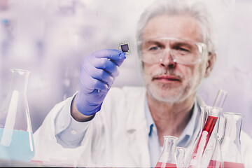 Image showing Senior male life scientist researching in the laboratory.