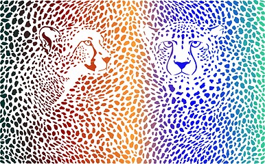 Image showing Cheetahs color background with heads