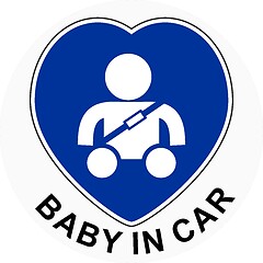 Image showing Child in the car