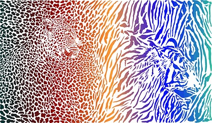 Image showing Leopard and tiger and color pattern background