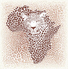 Image showing Leopard seamless pattern, vector illustration background with Africa map