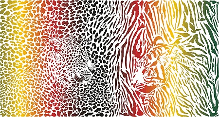 Image showing Tiger and Leopard and color pattern background