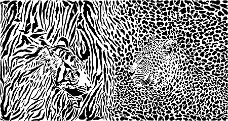 Image showing Tiger and Leopard and pattern background