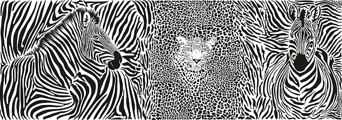 Image showing Wild animal background - template with motif zebras and leopard