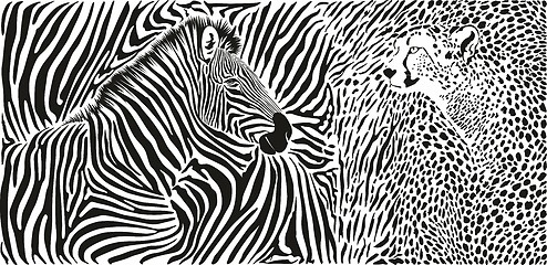 Image showing Wild animal background - template with zebra and cheetah motif