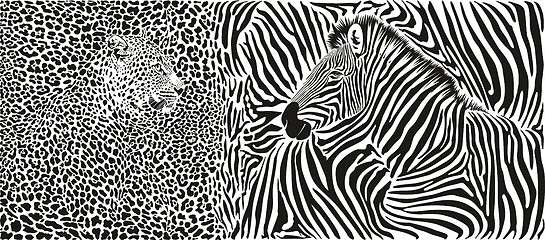 Image showing Zebra and leopard skin pattern with heads