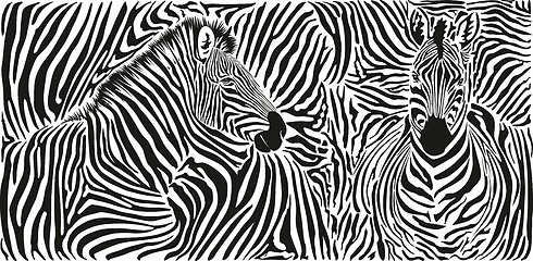 Image showing Zebra skin pattern with two heads