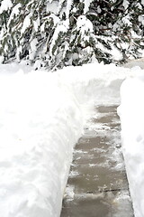 Image showing Winter snow outdoors.