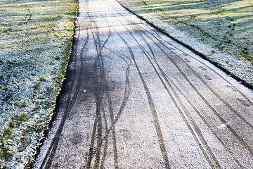 Image showing footprints and bicycle tracks on the track covered with the firs