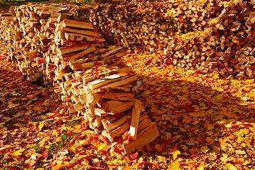 Image showing woodpile of firewood in the yard with autumn leaves 