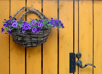 Image showing basket with blue flowers on a yellow fence 