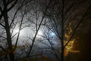 Image showing night view from the top floor window of the trees in the fog and