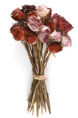 Image showing bouquet of dried roses on a white