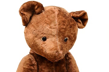 Image showing closeup of the head of a shabby teddy bear toy on a white 