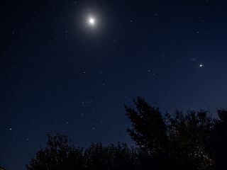 Image showing Moon, Orion and Venus in Night Sky