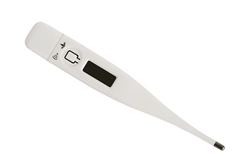 Image showing Clinical Thermometer