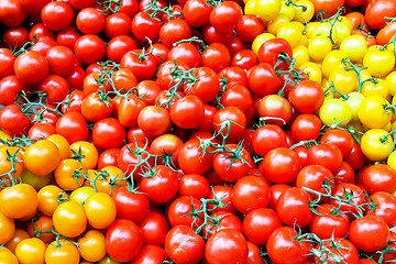 Image showing Cherry tomatoes