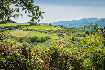 Image showing Green meadow in mountain. Composition of nature