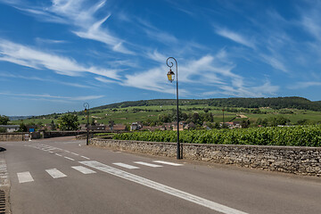 Image showing View to the road and vineyard in Burgundy Bourgogne home of pinot noir and chardonnay in summer day with blue sky. Cote d\'Or