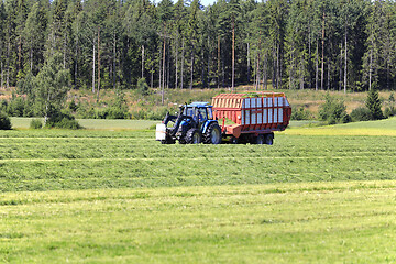 Image showing Collecting Hay for Silage With Forage Wagon