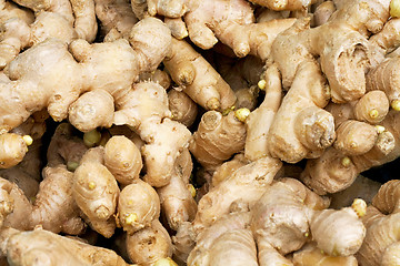 Image showing Ginger