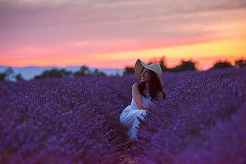 Image showing woman portrait in lavender flower fiel