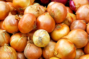 Image showing Onion