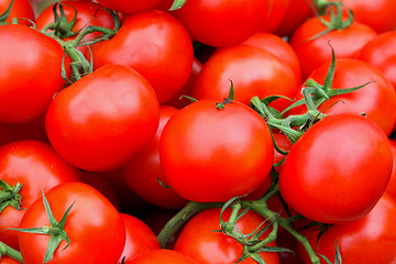 Image showing Organic tomato