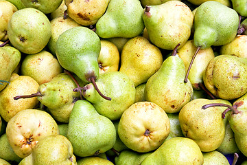 Image showing Pears