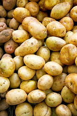 Image showing Potato vertical