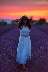 Image showing woman portrait in lavender flower fiel