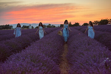 Image showing group of famales have fun in lavender flower field