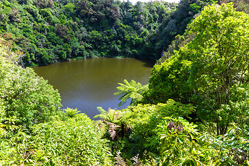 Image showing volcanic activities at waimangu