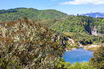 Image showing volcanic activities at waimangu