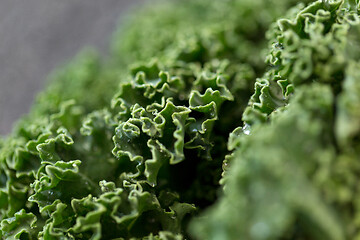 Image showing close up of kale cabbage on table