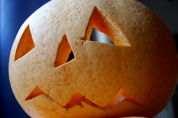 Image showing Pumpkin