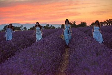 Image showing group of famales have fun in lavender flower field