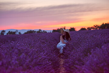 Image showing woman portrait in lavender flower fiel