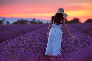 Image showing woman portrait in lavender flower fiel