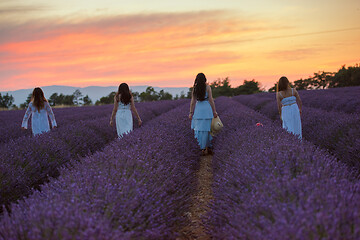 Image showing group of famales have fun in lavender flower field