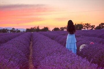 Image showing woman portrait in lavender flower fiel