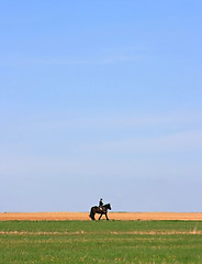 Image showing Lonely Rider