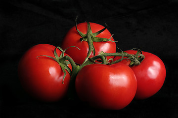 Image showing Vine ripened tomatoes