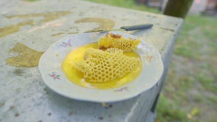 Image showing Raw honey with honeycomb from the beehive