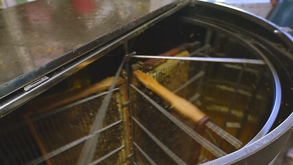 Image showing honey extractor at work in the beefarm