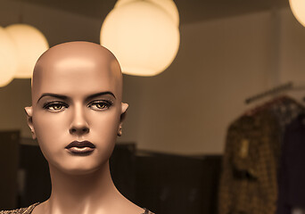 Image showing Portrait of a Mannequin