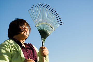 Image showing Raking Leaves