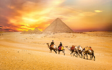 Image showing Camel ride at the pyramids